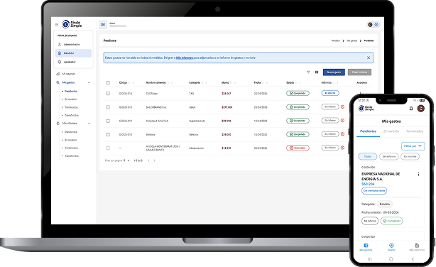 Vista de plataforma RindeSimple en escritorio